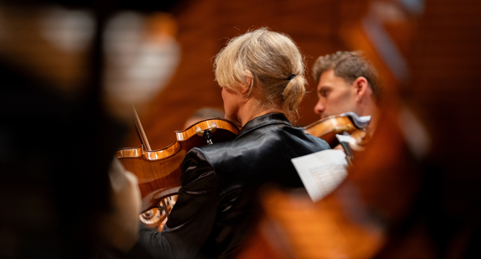 Back of a woman in an orchestra playing a viola