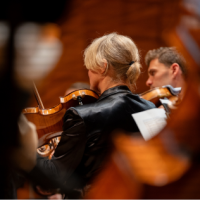 Back of a woman in an orchestra playing a viola