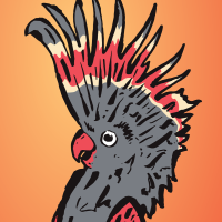 Black cockatoo cartoon