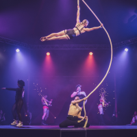 Circus artists performing
