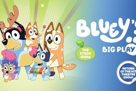 Bluey and family dressed up