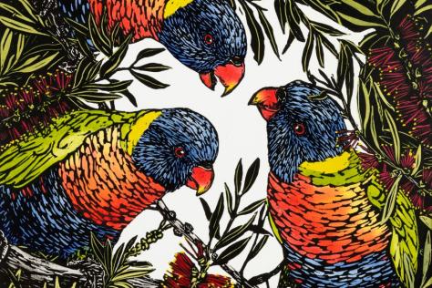 Three brightly coloured parrots in foliage cluster in a circle and look at the viewer.
